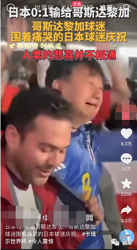 首码项目官网：世界杯期间如何赚米？-第13张图片-好推首码网