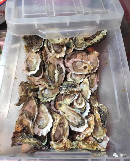 乐分享首码项目：在家做副业，10元一单，60元一天-第8张图片-好推首码网