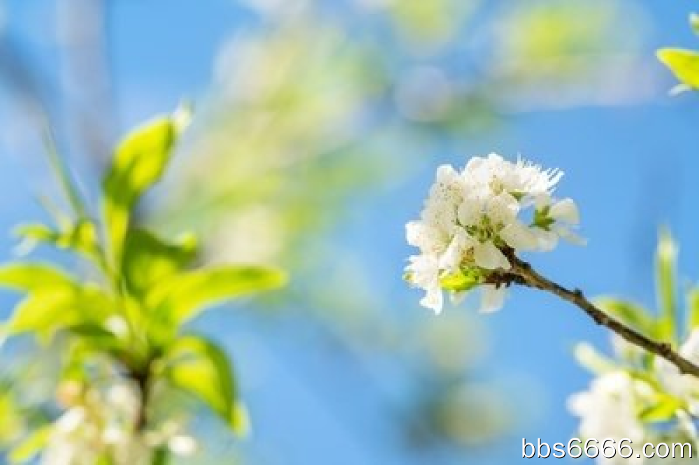 学生怎么赚米快？做什么可以赚米?做好这几点-第1张图片-好推首码网