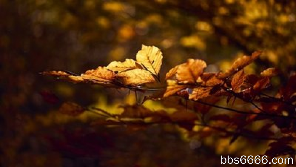 逆向思维：你要想通过自媒体赚米，普通人只需要做到三点-第2张图片-好推首码网
