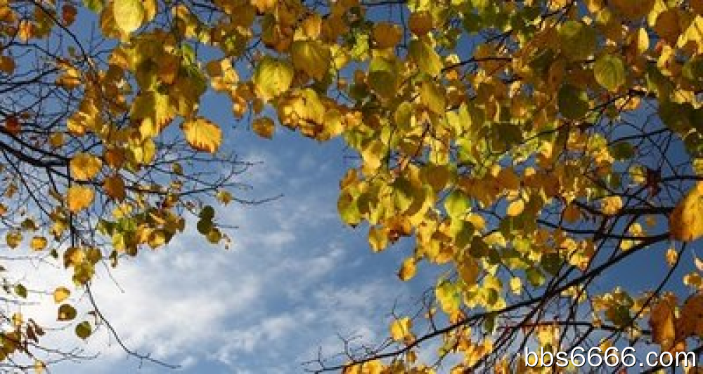 
智微管家「渠道活码」帮你解决，助力企业快速获客-第1张图片-好推首码网