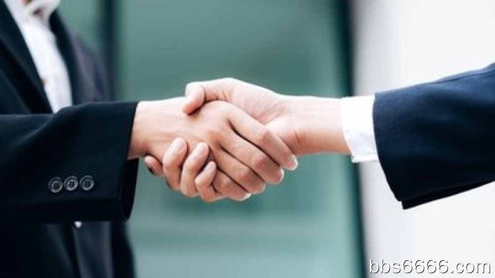 全职自媒体人，每个月10万元的收入，我这钱是从哪来-第2张图片-好推首码网