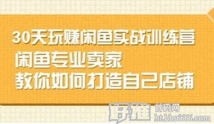三十天玩赚闲鱼实战课程教程，闲鱼专业卖家教你如何打造自己店铺