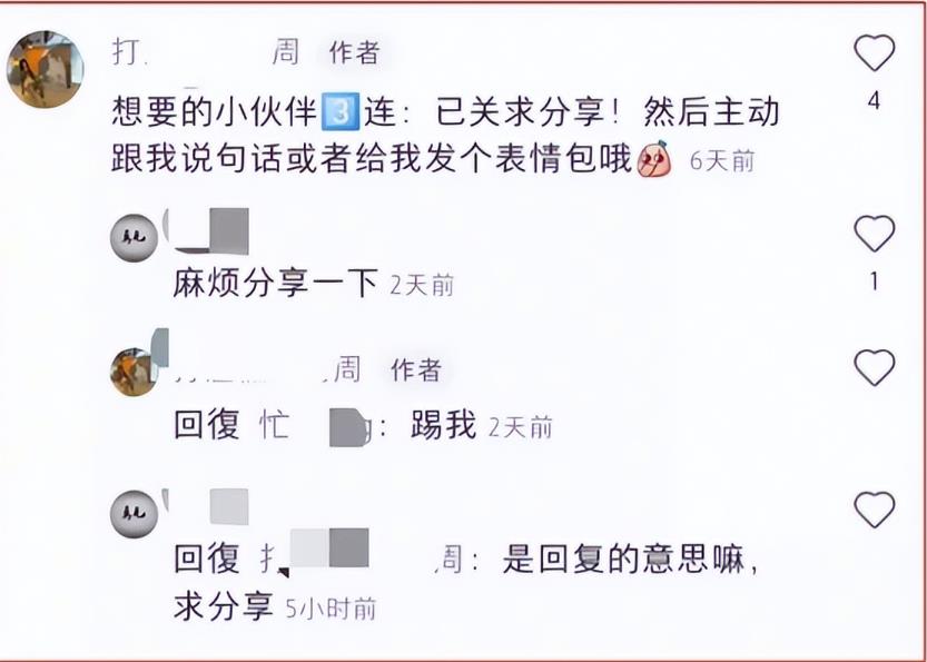 首码分红项目网：启蒙虚拟数据项目，只需0成本，日收入500+-第5张图片-好推首码网