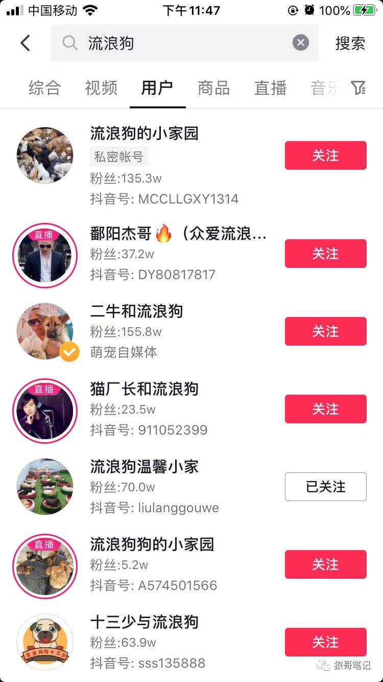 首码项目平台排名：利用同情心直播流浪狗，增加粉丝，赚米-第3张图片-好推首码网