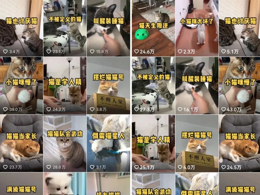 h12345首码项目网：100+日收入副业：分享0粉丝账号变线+育儿直播+百户口书项目创意！-第4张图片-好推首码网
