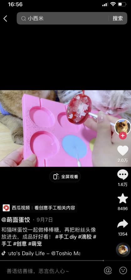 朋友圈首码项目网：蓝海冷门项目，速度抢占市场，易变线，月收入8000-第5张图片-好推首码网