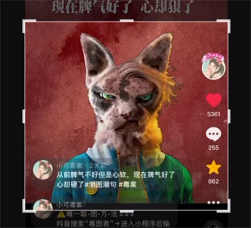 优质首码项目网：“毒文案”抖音短视频项目玩法（1）。-第10张图片-好推首码网