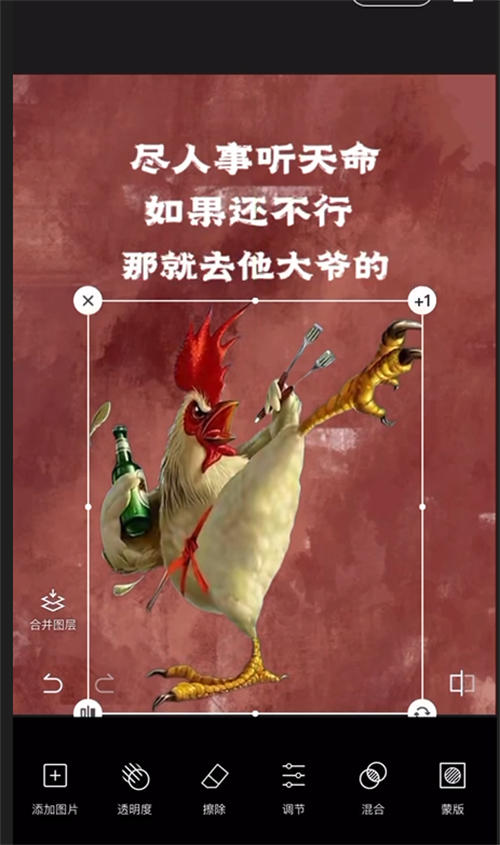 优质首码项目网：“毒文案”抖音短视频项目玩法（1）。-第28张图片-好推首码网