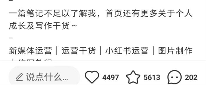 小红书热门创作套路的3个热门领域-第2张图片-好推首码网
