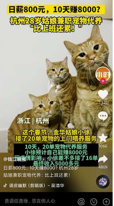 项目首码吧：同城副业，一天赚800元，有点累但是很赚米！-第1张图片-好推首码网