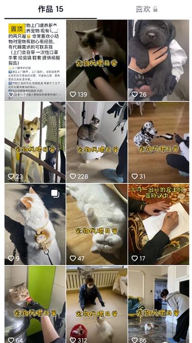 项目首码吧：同城副业，一天赚800元，有点累但是很赚米！-第14张图片-好推首码网