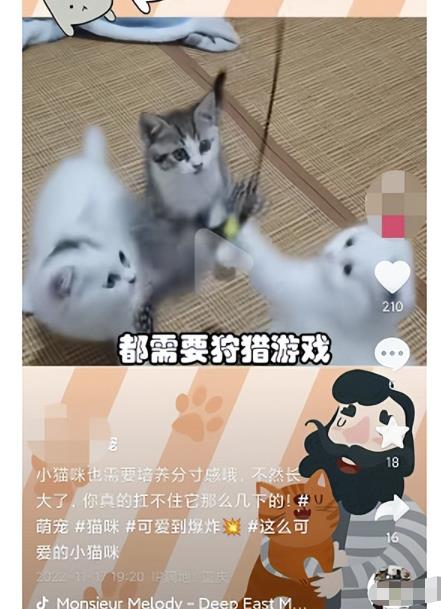 项目首码吧：同城副业，一天赚800元，有点累但是很赚米！-第17张图片-好推首码网