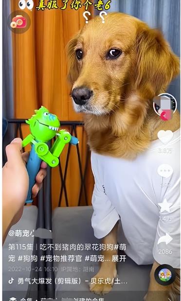 项目首码吧：同城副业，一天赚800元，有点累但是很赚米！-第19张图片-好推首码网
