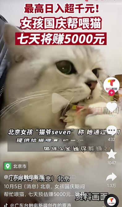 项目首码吧：同城副业，一天赚800元，有点累但是很赚米！-第2张图片-好推首码网