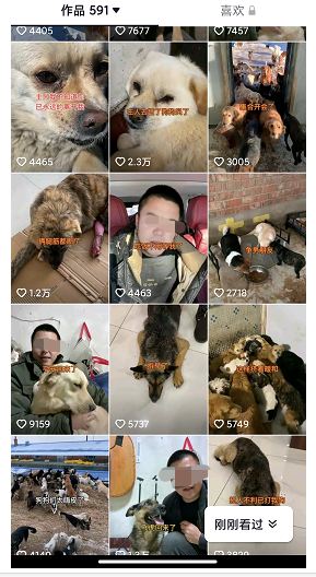 揭秘月入万的野外赚米方式-第3张图片-好推首码网