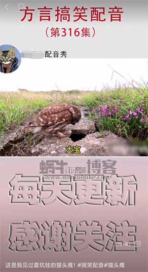 方言搞笑配音，操作简单，月入三五千。 是小白可以轻松操作的副业-第1张图片-好推首码网