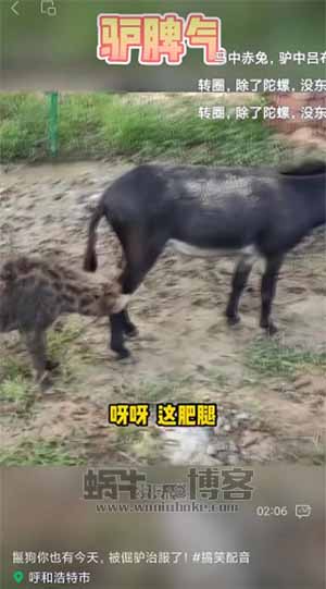 方言搞笑配音，操作简单，月入三五千。 是小白可以轻松操作的副业-第2张图片-好推首码网