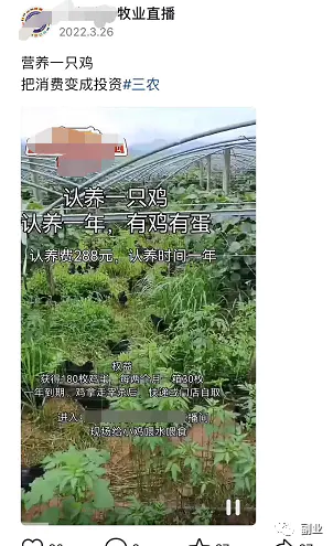 县城小生意发家致富，单笔收入100多，月入过万-第5张图片-好推首码网