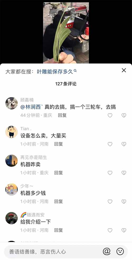 一片树叶售价120元，月入过万的树叶雕刻生意，0投资的赚米方式-第10张图片-好推首码网