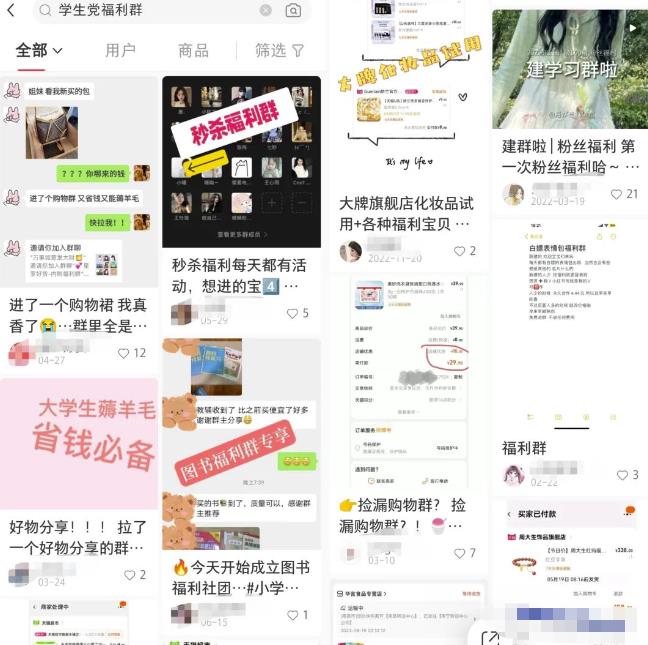 大学生如何在小红书上引流学以及变现方法？-第2张图片-好推首码网