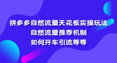 拼多多的自然流量推荐机制是什么？如何撬动拼多多的自然流量天花板，实操开车引流教程