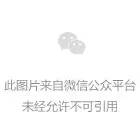 坐家一辉：国内互联网项目赚钱发展到什么阶段？-第1张图片-好推首码网