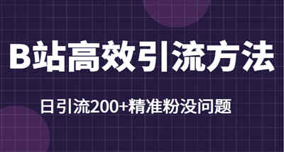 B站高效引流法，学会这招，日引流200+精准粉丝没问题