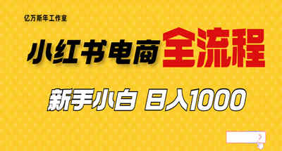 小红书无货源电商全套教程，新手如何从0到1做到一天1000多收益？
