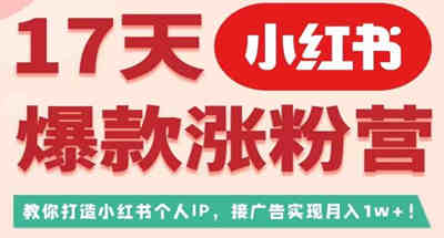 红书如何半个月打造广告变X的小红书博主IP，粉丝如何暴涨？