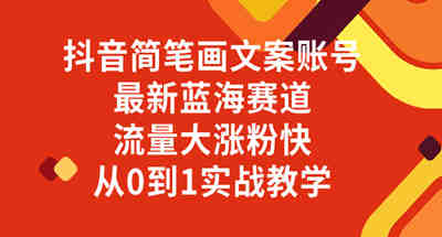 蓝海赛道-抖音简笔画文案帐号从入门到精通，流量很大涨粉很快