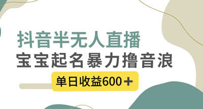 宝宝起名抖音半无人直播撸音浪，一天收入600多