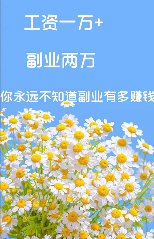 副业+月入过万，现实很残酷，能成功就20%-第2张图片-好推首码网