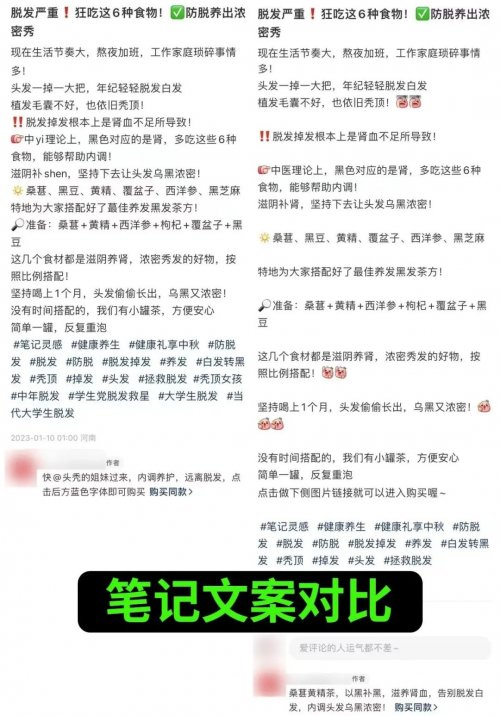 售价上万元的“小红书店群”项目如何运作？  （附详细教程）-第11张图片-好推首码网