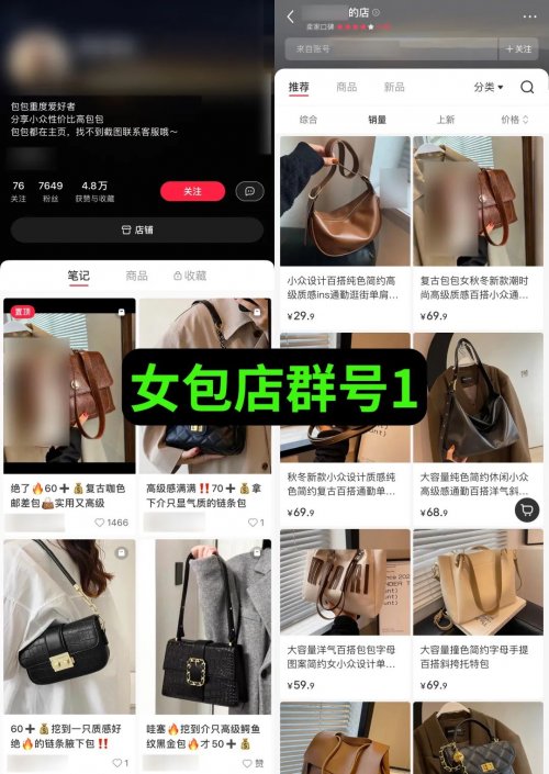 售价上万元的“小红书店群”项目如何运作？  （附详细教程）-第12张图片-好推首码网