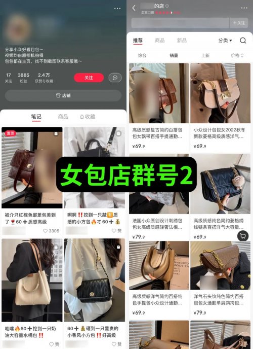 售价上万元的“小红书店群”项目如何运作？  （附详细教程）-第13张图片-好推首码网