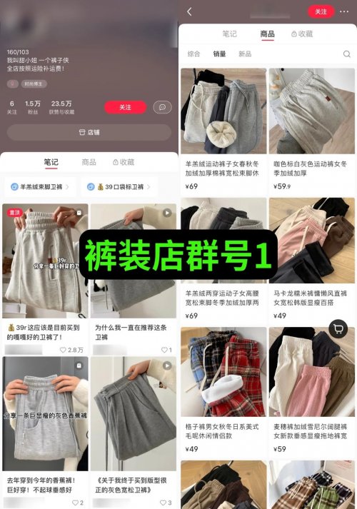 售价上万元的“小红书店群”项目如何运作？  （附详细教程）-第14张图片-好推首码网