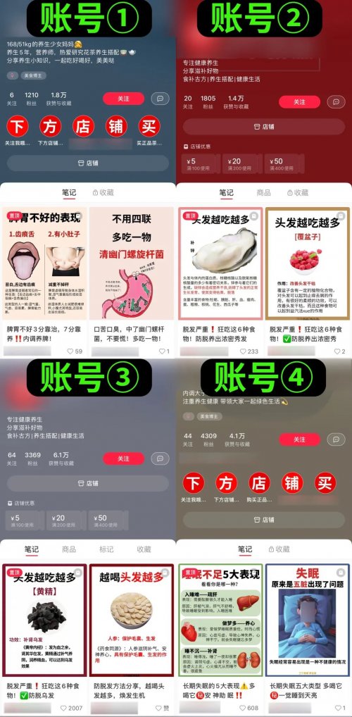 售价上万元的“小红书店群”项目如何运作？  （附详细教程）-第3张图片-好推首码网