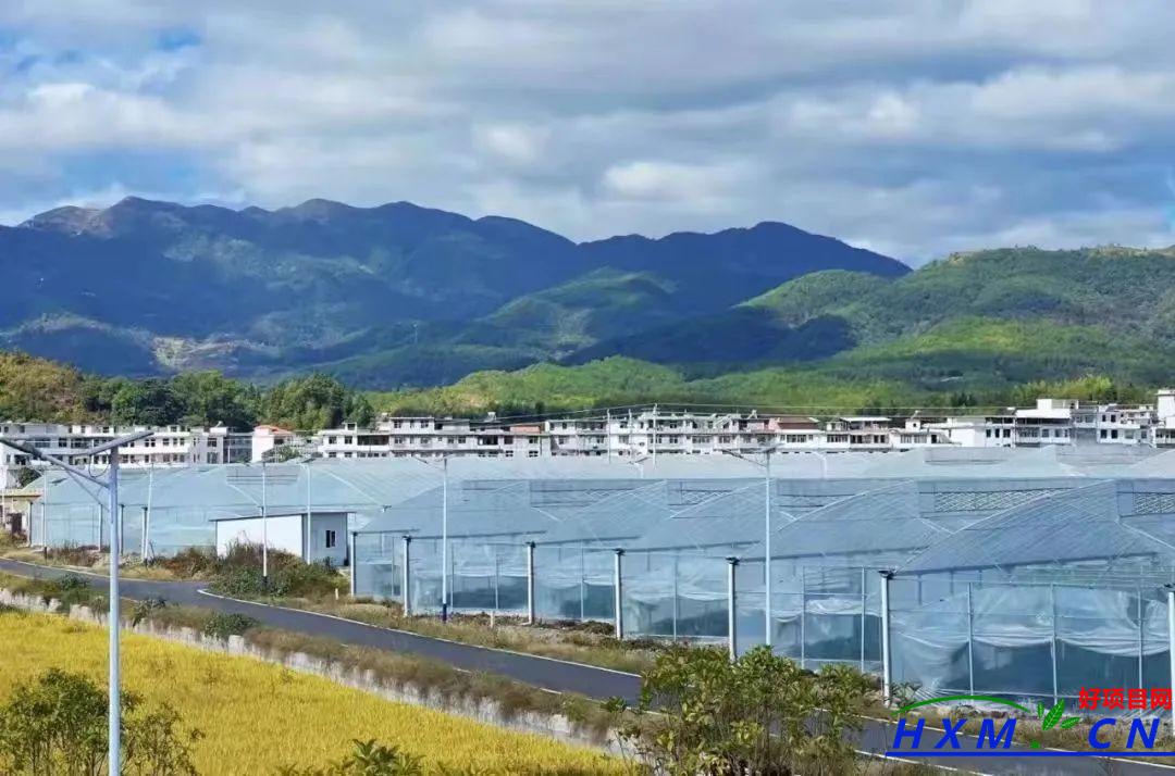 宁都县：蔬菜产业蝶变助力农民增收致富-第1张图片-好推首码网