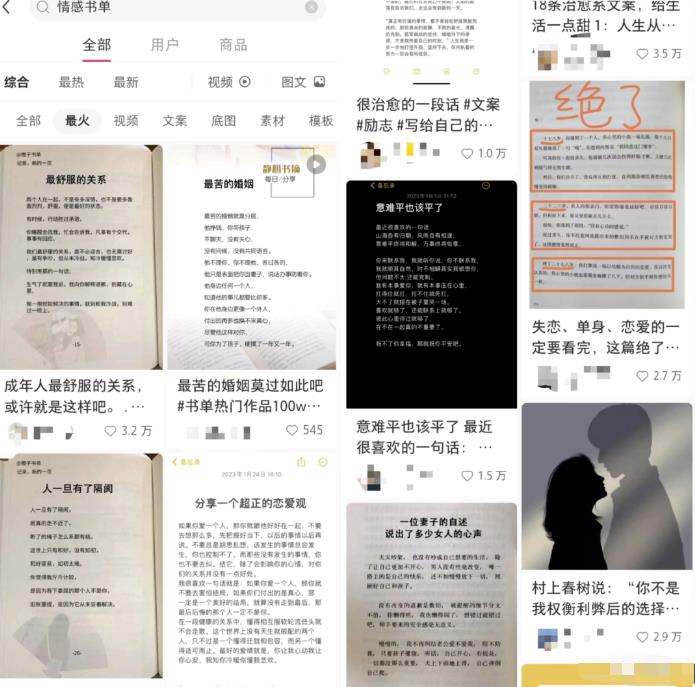 情感私域项目——每天100-200粉丝变现数据