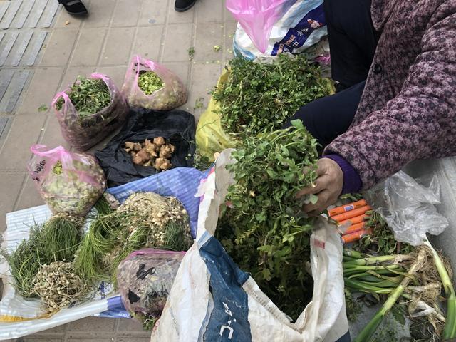一个43岁的人，不想进厂打工，身上只有1000元本金！-第3张图片-好推首码网