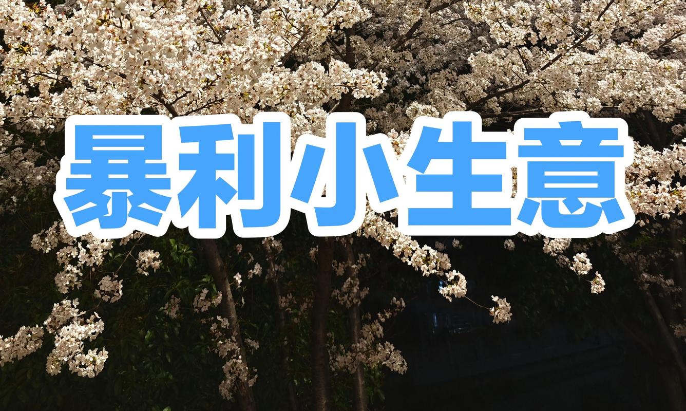 40个小本生意成功案例大全：揭秘不起眼但暴利的行业-第2张图片-好推首码网