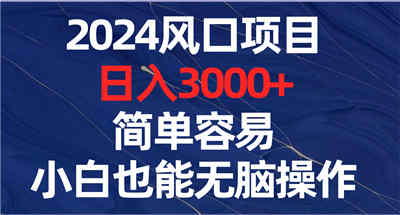 2024风口项目，日入3000+，简单容易，小白也能无脑操作