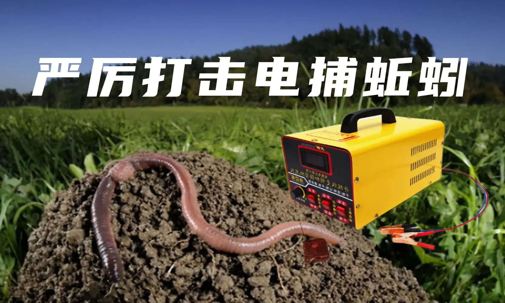 暴利捞偏门的赚钱门路：一晚赚数千元