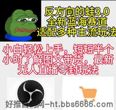 反方向的蛙3.0，图文最新玩法，变现多元化，新蓝海项目，小白轻松上手