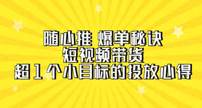随心推爆单秘诀，短视频带货-超1个小目标的投放心得（7节视频课）