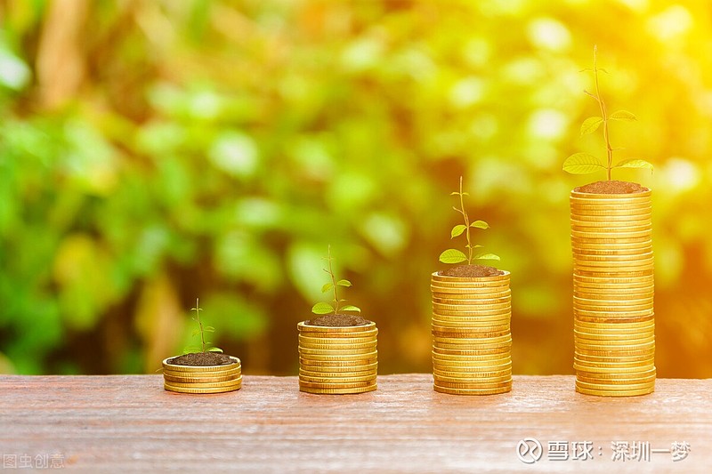 揭示 3 个富人使用的杠杆，加速财富增长的步伐-第2张图片-好推首码网