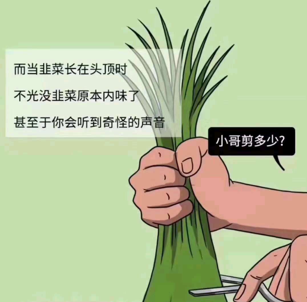 免费领取商业计划书模板，你值得拥有！（收藏）-第1张图片-好推首码网