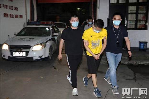 浙江温州破获首起侵犯网络作家版权案，临时工自学搭建盗版网站-第2张图片-好推首码网